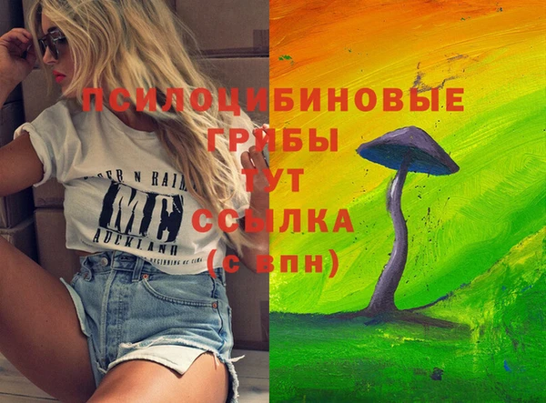 PSILOCYBIN Белокуриха